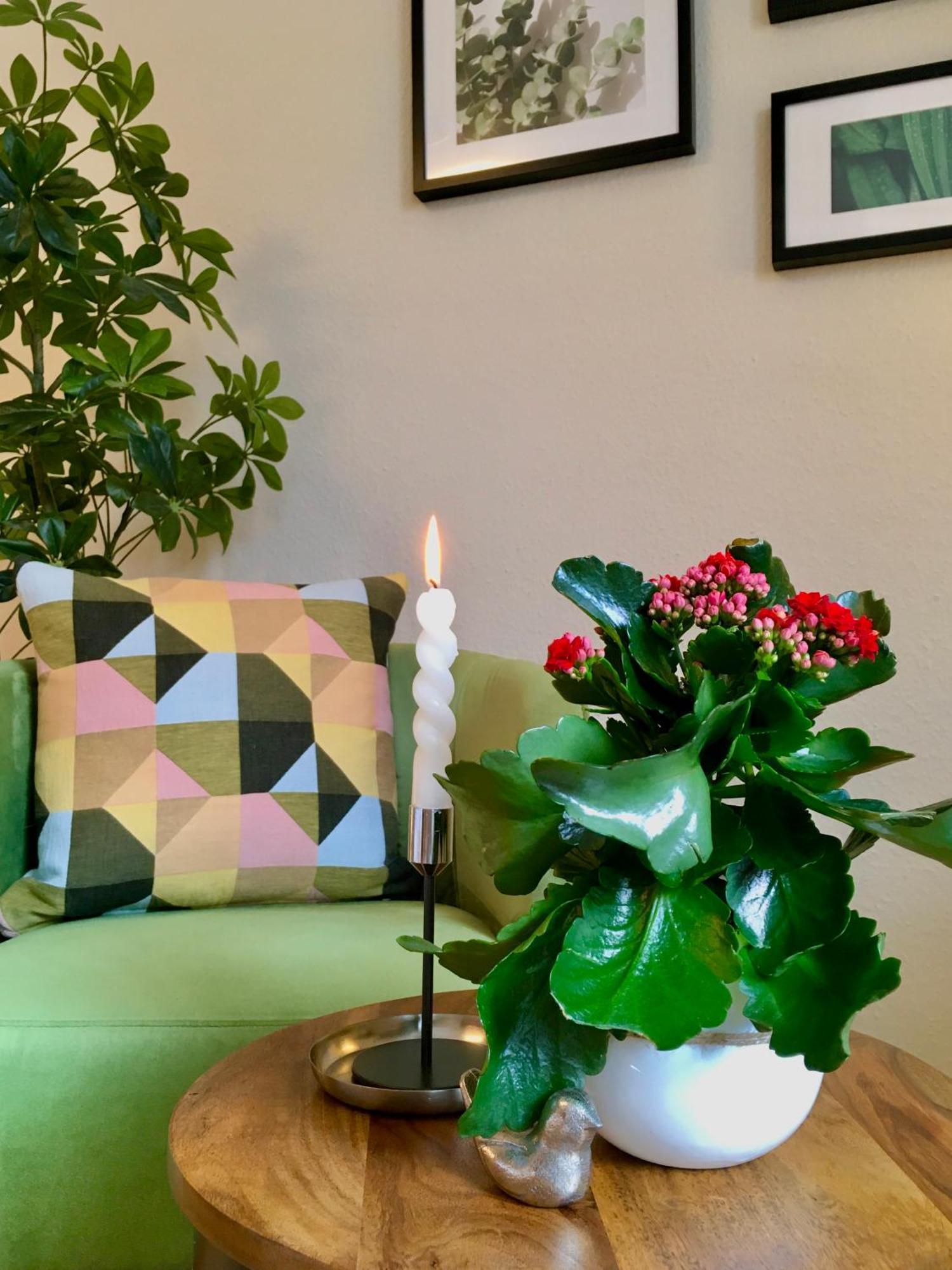 Schoene Ferienwohnung Am Mathildenbrunnen 크베들린부르크 객실 사진